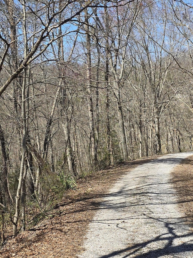 view of road with a wooded view