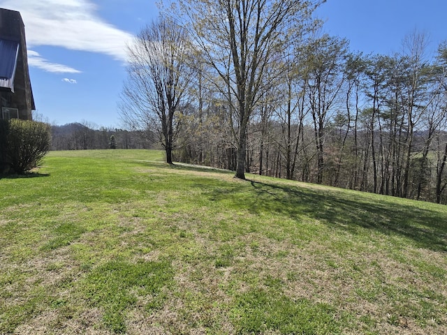 view of yard featuring a forest view