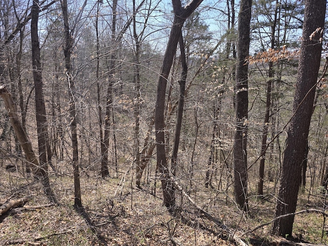 view of landscape