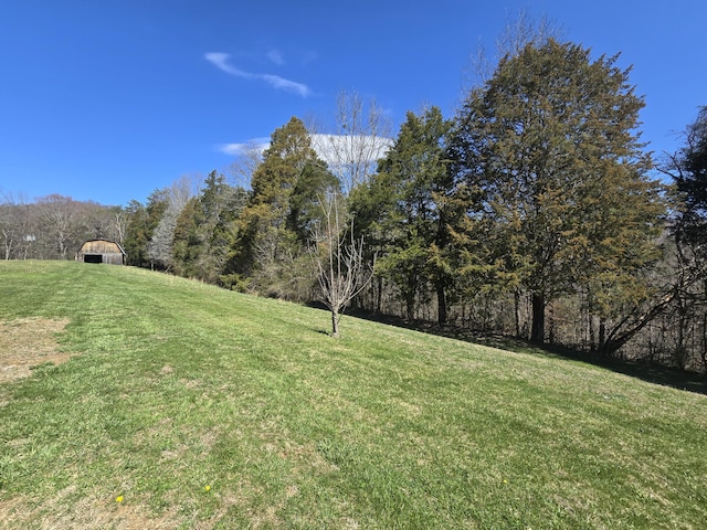 view of yard featuring an outbuilding