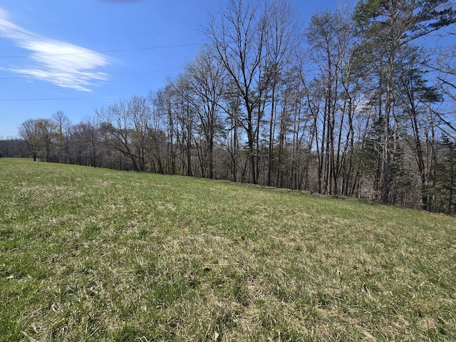 view of yard featuring a view of trees