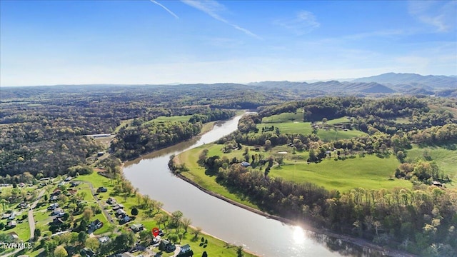 244 Holston View Dr, Rogersville, TN 37857 - photo 58