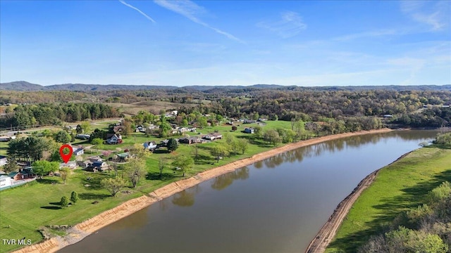 244 Holston View Dr, Rogersville, TN 37857 - photo 56