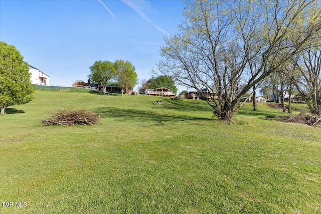 244 Holston View Dr, Rogersville, TN 37857 - photo 50