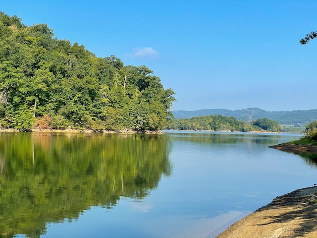 6309 Coves Edge Trl, Russellville, TN 37860