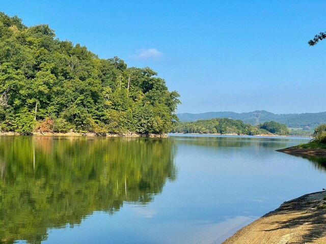 6309 Coves Edge Trl, Russellville, TN 37860