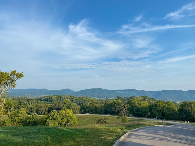 6309 Coves Edge Trl, Russellville, TN 37860