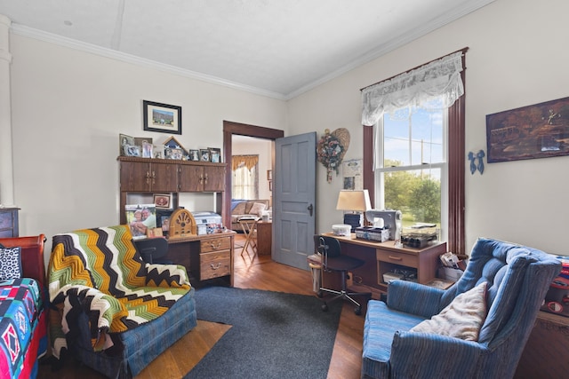office with hardwood / wood-style flooring and crown molding
