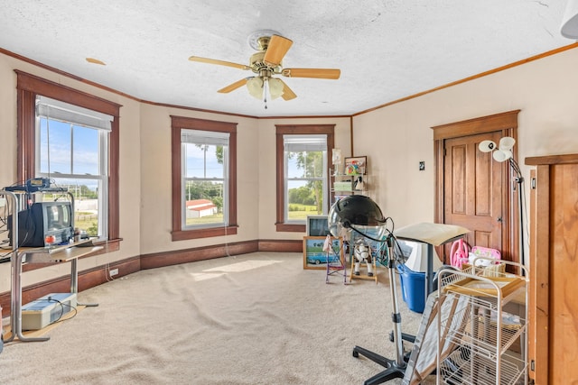 office space featuring carpet flooring, ceiling fan, crown molding, and a textured ceiling
