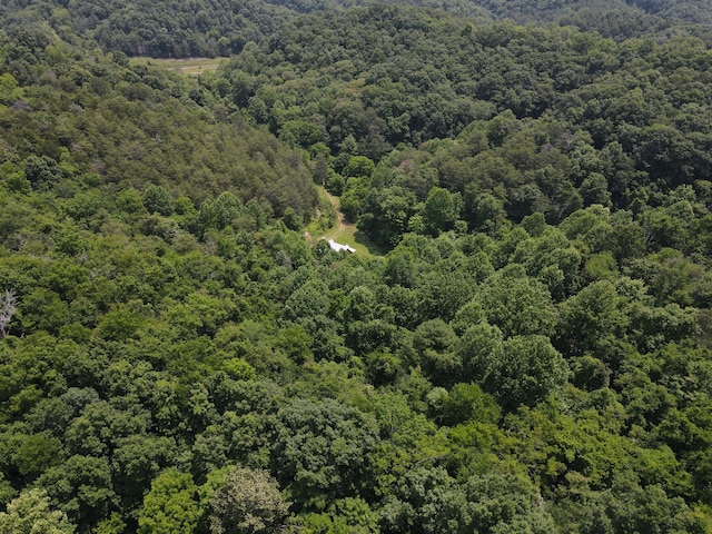 453 Trentham Hollow Rd, Parrottsville, TN 37843 - aerial view of a forest
