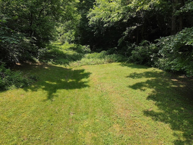 453 Trentham Hollow Rd, Parrottsville, TN 37843 - view of green lawn with a wooded view