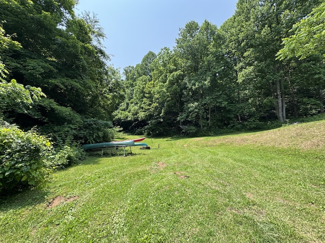 453 Trentham Hollow Rd, Parrottsville, TN 37843 - view of grassy yard with a view of trees