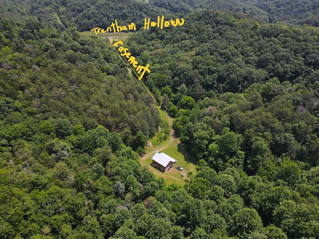 453 Trentham Hollow Rd, Parrottsville, TN 37843 - bird's eye view of a heavily wooded area
