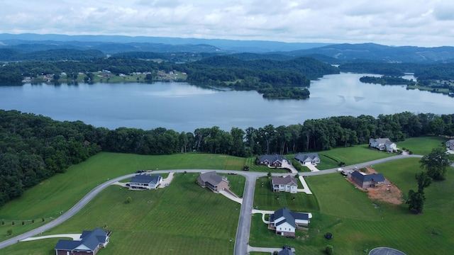 4041 Harbor View Dr, Morristown, TN 37814 - photo 5
