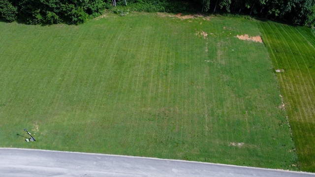 4041 Harbor View Dr, Morristown, TN 37814 - photo 14