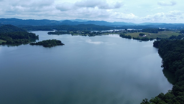 4041 Harbor View Dr, Morristown, TN 37814 - photo 8