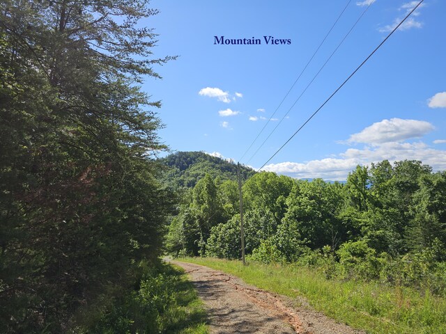 LOT7 Blackfeet Way, Del Rio, TN 37727