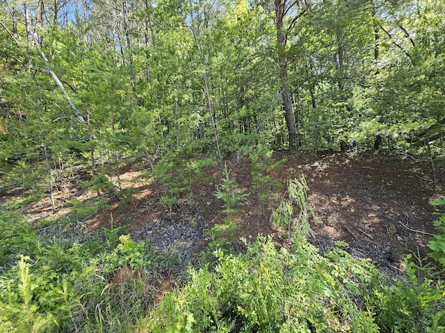 LOT7 Blackfeet Way, Del Rio, TN 37727
