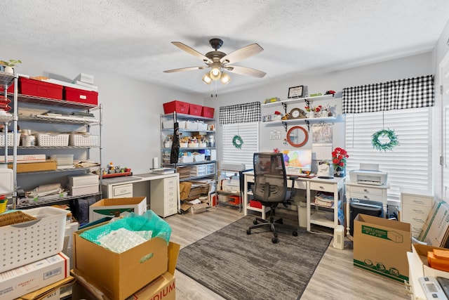 home office with light hardwood / wood-style flooring, ceiling fan, and a textured ceiling