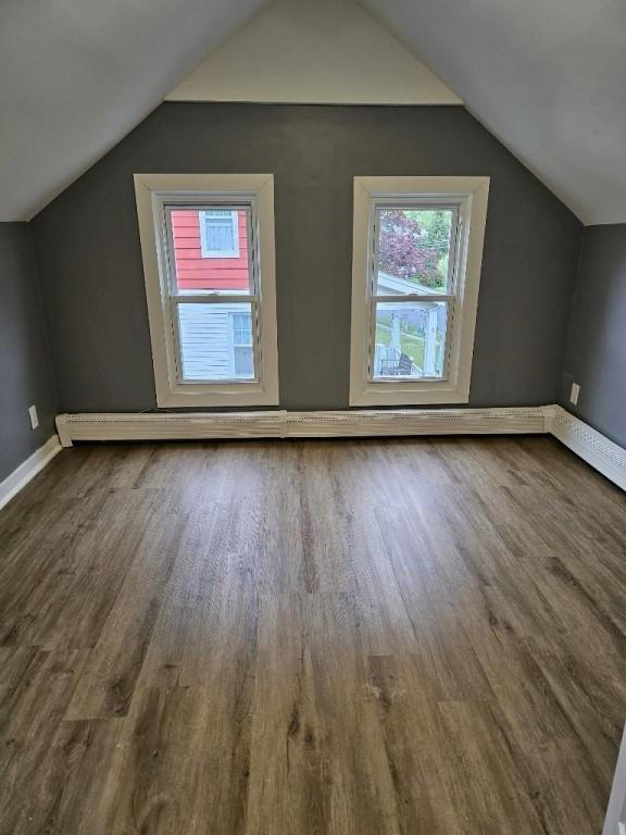 additional living space featuring wood-type flooring and lofted ceiling