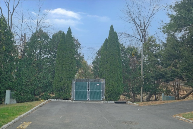 view of street featuring a gate and curbs