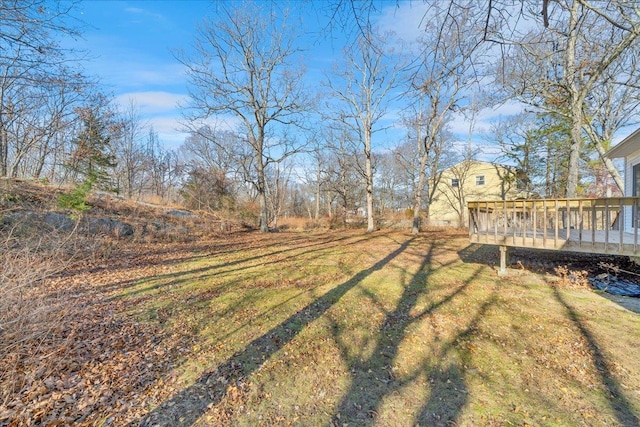 view of yard with a wooden deck