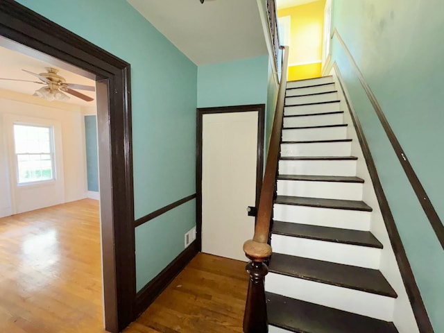 stairs featuring hardwood / wood-style flooring and ceiling fan