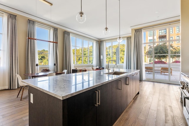 kitchen with a kitchen island with sink, hanging light fixtures, a healthy amount of sunlight, and sink