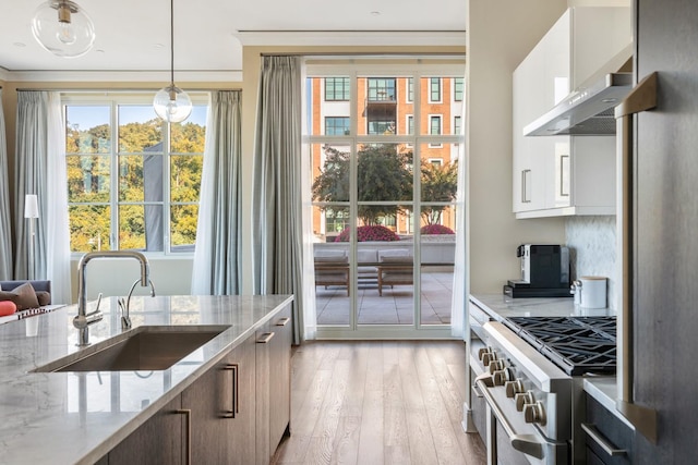 kitchen with light hardwood / wood-style floors, sink, white cabinetry, and high end stainless steel range oven