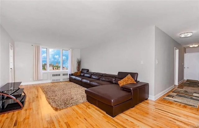 living room featuring radiator and wood-type flooring