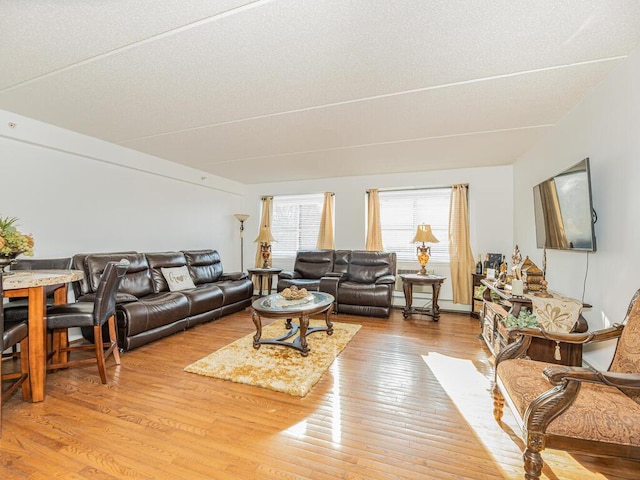 living room featuring light hardwood / wood-style floors and a textured ceiling