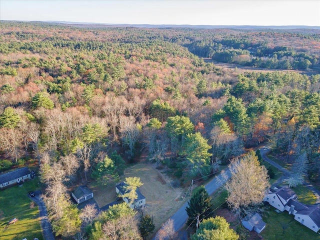 40 Collins Rd, Eldred, NY 12732 - bird's eye view of a heavily wooded area