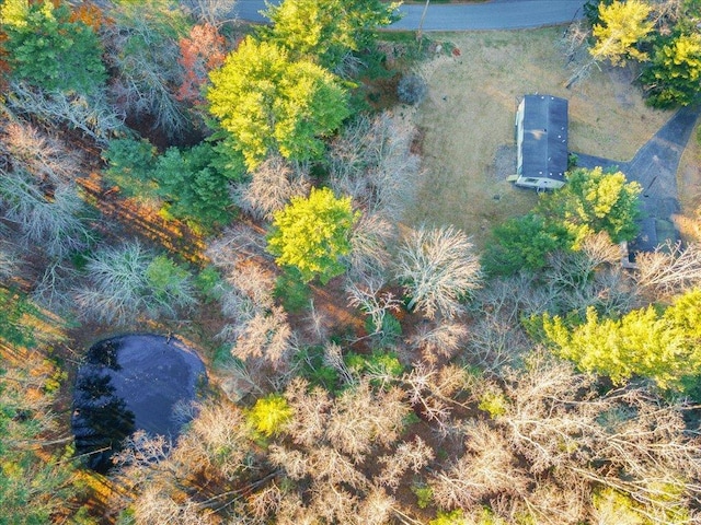 40 Collins Rd, Eldred, NY 12732 - bird's eye view