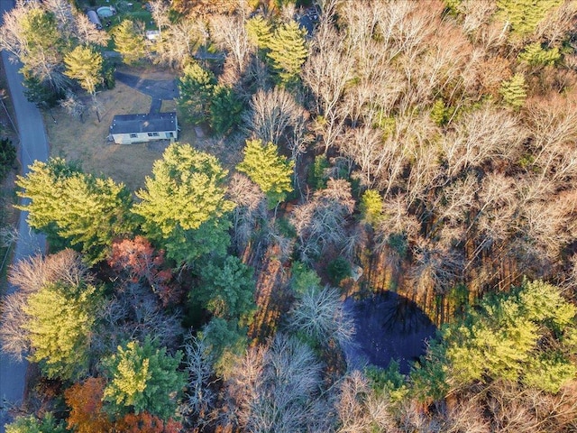 40 Collins Rd, Eldred, NY 12732 - view from above of property