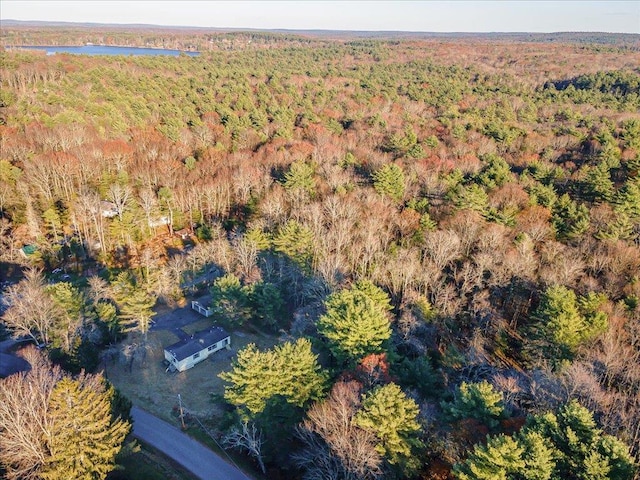 40 Collins Rd, Eldred, NY 12732 - bird's eye view of a forest
