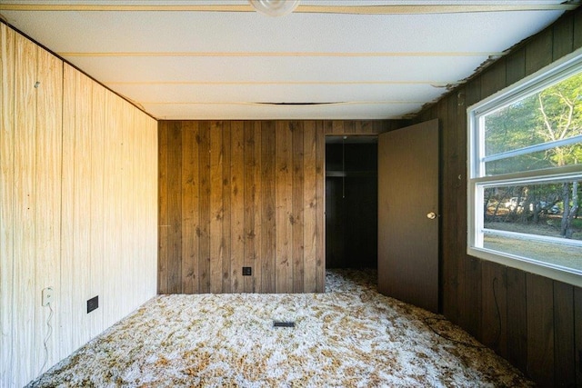 40 Collins Rd, Eldred, NY 12732 - empty room with wooden walls and carpet floors