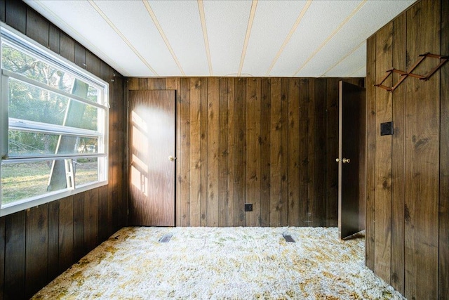 spare room featuring carpet, wooden walls, and a healthy amount of sunlight