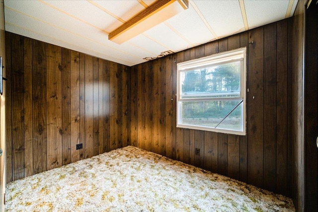 40 Collins Rd, Eldred, NY 12732 - carpeted empty room with wooden walls