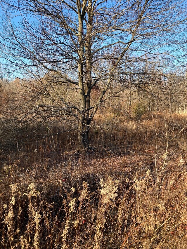 POCATELLOROAD Pocatello Rd, Middletown, NY 12566 - photo 3