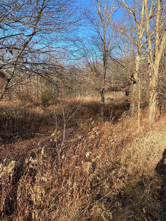 POCATELLOROAD Pocatello Rd, Middletown, NY 12566 - photo 4