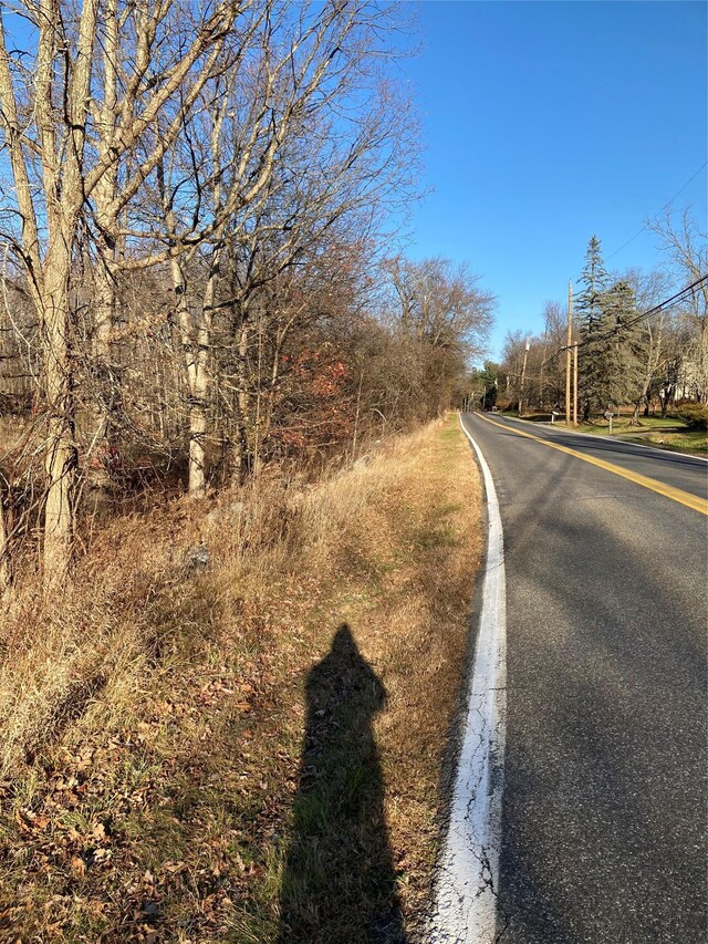 POCATELLOROAD Pocatello Rd, Middletown, NY 12566 - photo 5