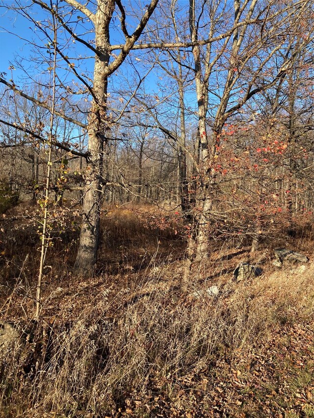 POCATELLOROAD Pocatello Rd, Middletown, NY 12566 - photo 6