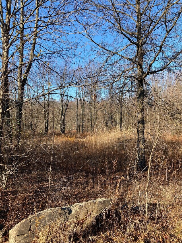POCATELLOROAD Pocatello Rd, Middletown, NY 12566 - photo 7