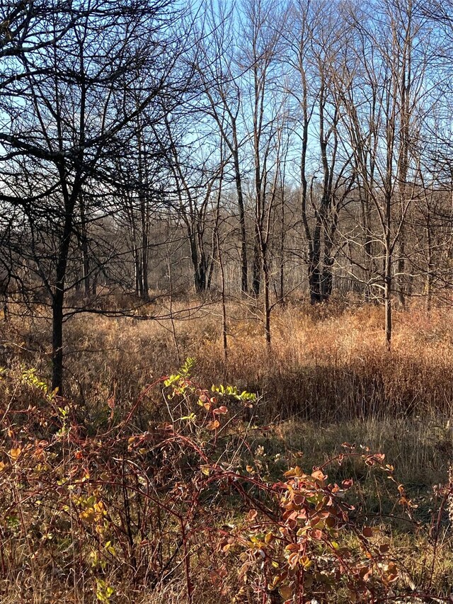 POCATELLOROAD Pocatello Rd, Middletown, NY 12566 - photo 10