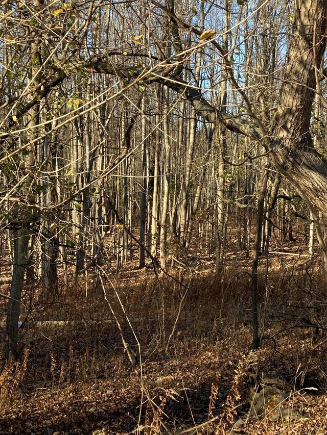 POCATELLOROAD Pocatello Rd, Middletown, NY 12566 - photo 11