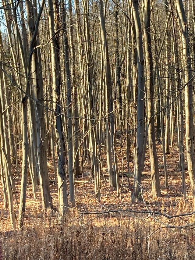 POCATELLOROAD Pocatello Rd, Middletown, NY 12566 - photo 12