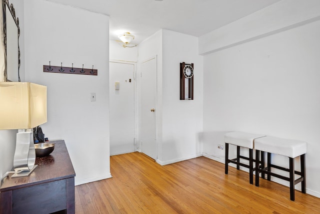 foyer entrance with wood-type flooring