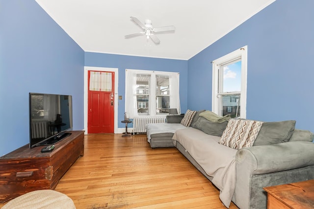 living room featuring plenty of natural light, ceiling fan, light wood-type flooring, and radiator heating unit