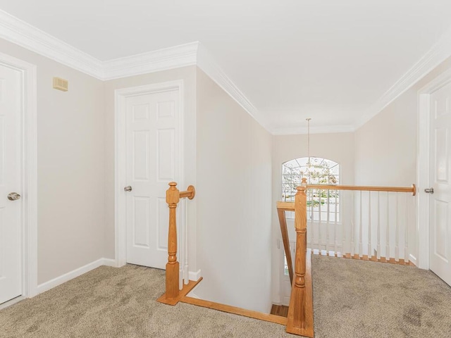 hallway featuring ornamental molding, carpet floors, and an inviting chandelier