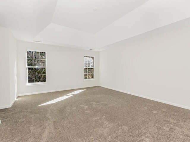 empty room featuring a tray ceiling and carpet